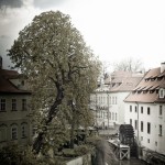 prag-4